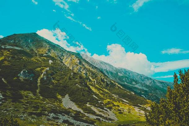 美丽的看法向指已提到的人高的绿色的山山峰,向指已提到的人蓝色Slovakia斯洛伐克