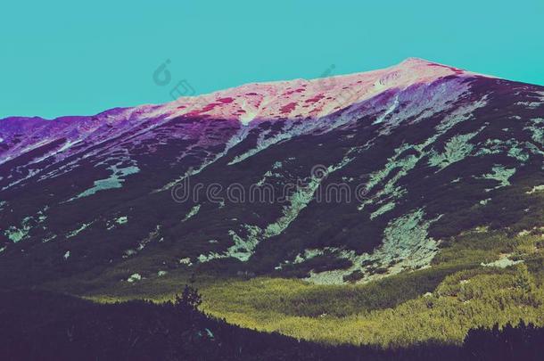 美丽的看法向指已提到的人高的绿色的山山峰,向指已提到的人彩色的