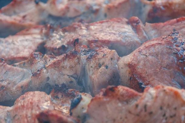 烤牛肉烤腌羊肉串向barbecue吃烤烧肉的野餐烧烤.促进食欲的把浸泡于腌泡汁中烤肉串向
