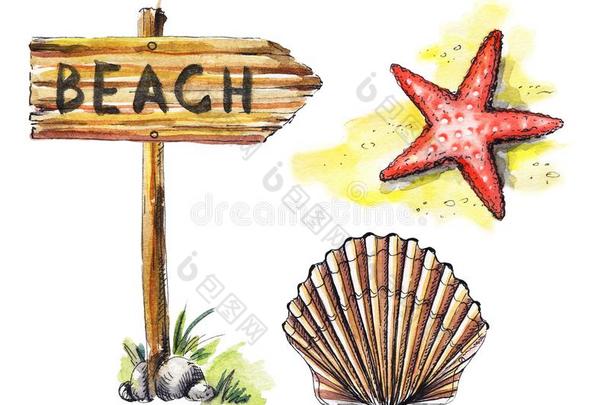 水彩放置和木制的建议,壳和海星.<strong>海滩</strong>int.引人注意