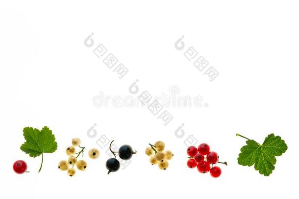 黑醋栗,红色的-无核小葡萄干和白色的-无核小葡萄干向白色的后台