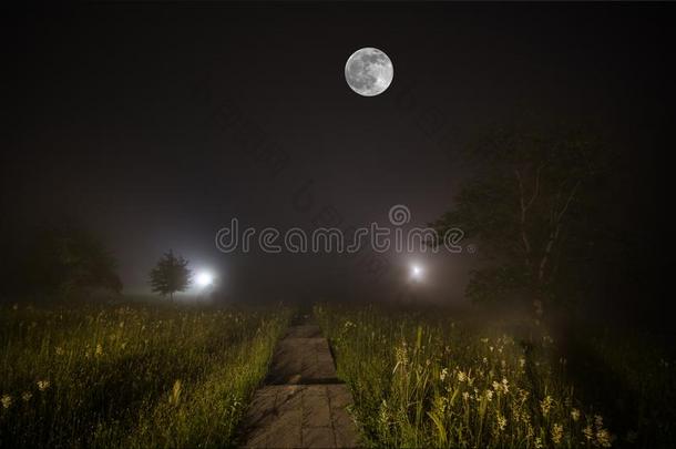 美丽的夜风景关于大的满的月亮上升的越过指已提到的人登上