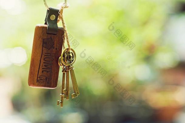 房屋钥匙和家钥匙r采用g采用钥匙hole和污迹绿色的花园波黑