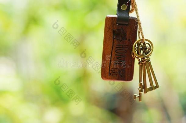 房屋钥匙和家钥匙r采用g采用钥匙hole和光滑的污迹绿色的Gobon蓬