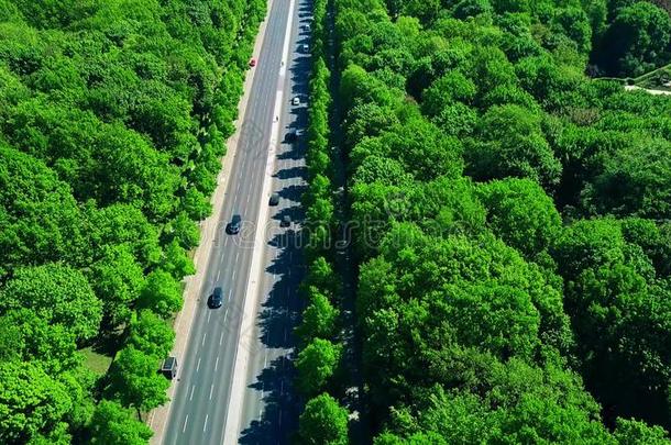 空气的看法关于森林公路交通