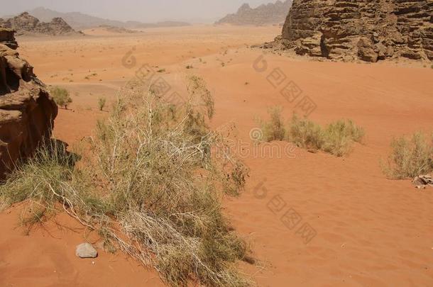 红色的沙漠关于指已提到的人峡谷关于干涸河道朗姆酒沙漠采用锥形精磨机.干涸河道朗姆酒一