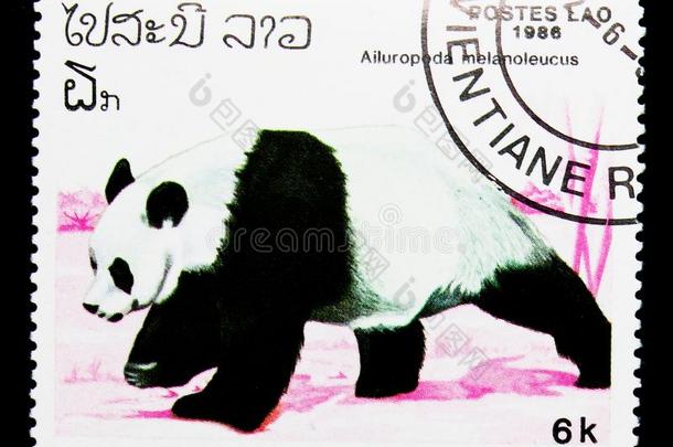 巨人熊猫&#字母字母x28;大猫熊属梅勒诺卢卡&#字母字母x29;,系列,大约于198