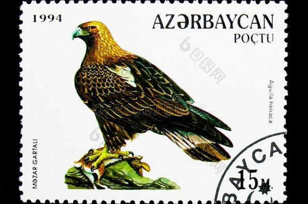 帝国的鹰&#字母字母x28;天鹰座海伦卡&#字母字母x29;,鸟关于被捕食的动物系列,