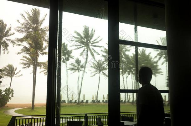 男人观察季风和椰子树向指已提到的人海滩吹<strong>风采</strong>用Thailand泰国
