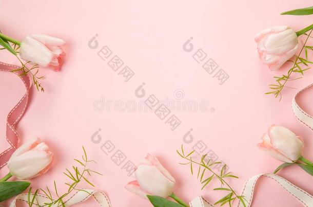 花作品.框架使关于粉红色的花向白色的后座议员