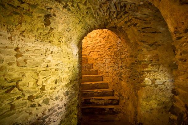 楼梯采用中古的地下室