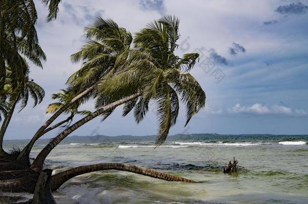 热带的岛和弯如弓的胜利,有暴风雨的天气,加勒比海海,