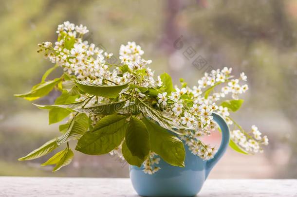 花束关于鸟樱桃,朴属植物,朴属植物或无线电求救<strong>呼号</strong>树布兰克