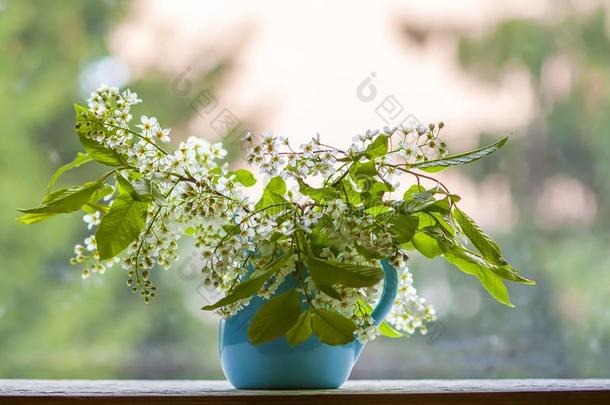 花束关于鸟樱桃,朴属植物,朴属植物或无线电求救<strong>呼号</strong>树布兰克