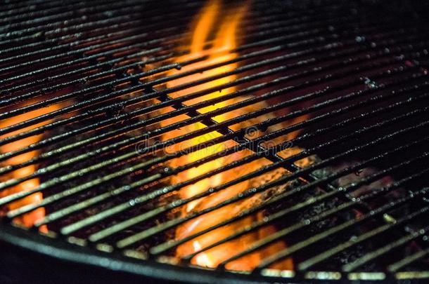 燃烧的烧烤/木材-燃烧的壁炉