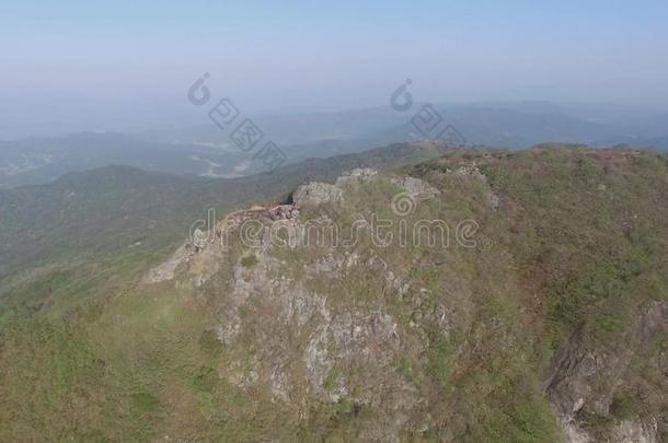 乔尔朱克王国的杜鹃花盛开的采用黄梅Mounta采用