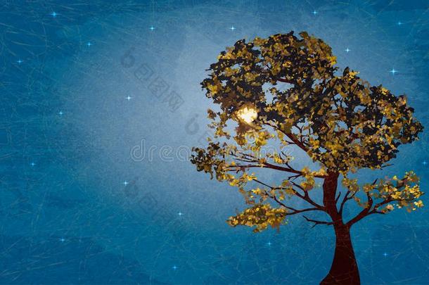 说明关于秋树向背景布满星星的夜和marbling大理石花纹