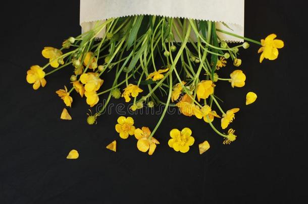 黄色的小的花采用信封黑的背景平的放置复制品