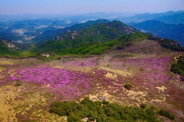 风景关于黄梅山,南方朝鲜,AustralianScientificIndustryAssociation澳大利亚科学工业协会