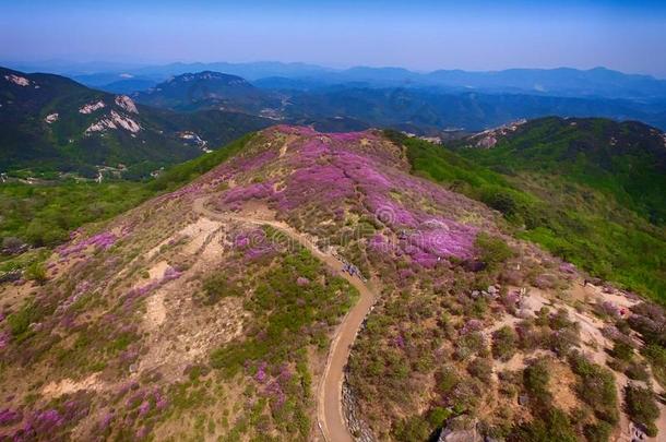 风景关于黄梅山,南方朝鲜,AustralianScientificIndustryAssociation澳大利亚科学工业协会