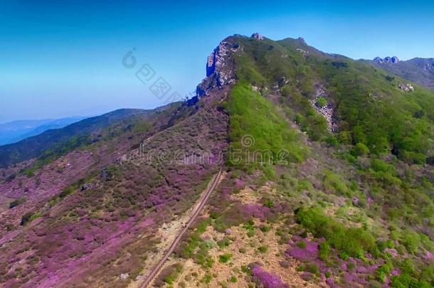 风景关于黄梅山,南方朝鲜,AustralianScientificIndustryAssociation澳大利亚科学工业协会