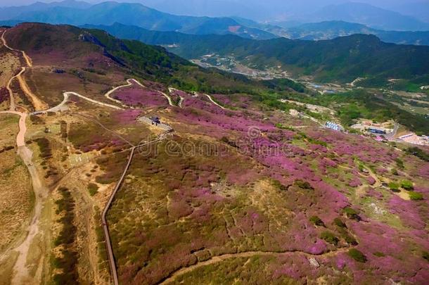 风景关于黄梅山,南方朝鲜,AustralianScientificIndustryAssociation澳大利亚科学工业协会