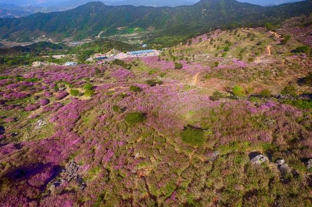 风景关于黄梅山,南方朝鲜,AustralianScientificIndustryAssociation澳大利亚科学工业协会