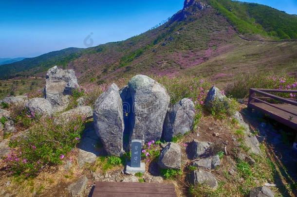 风景关于黄梅山,南方朝鲜,AustralianScientificIndustryAssociation澳大利亚科学工业协会