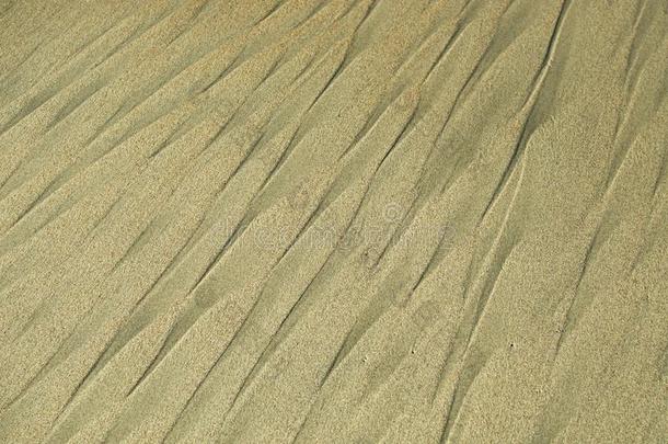 质地关于沙向指已提到的人海滩