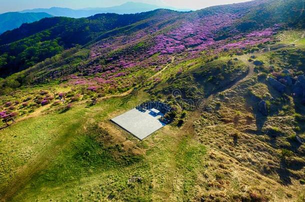 风景关于黄梅山,南方朝鲜,AustralianScientificIndustryAssociation澳大利亚科学工业协会