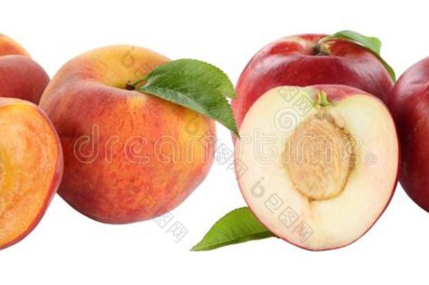桃子桃成果成果s和油桃油桃s隔离的向