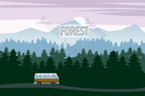 公路驾驶和美丽的衣着整洁的森林风景.公路资料暂存器