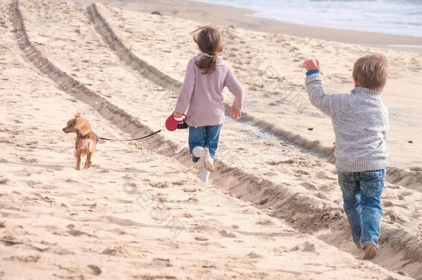 幸福的小孩和漂亮的狗跑步向指已提到的人海滩向vacati向