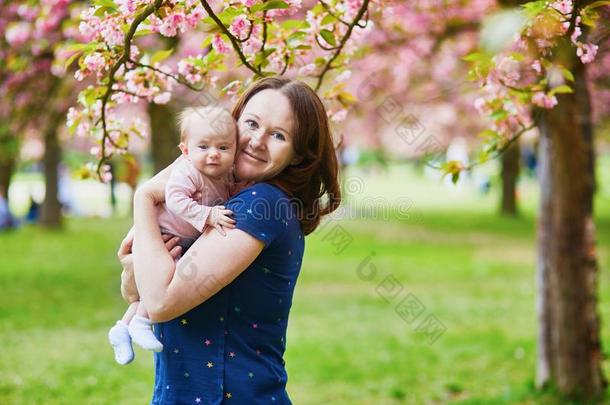 年幼的母亲和她婴儿享有c她ry花季节太棒了