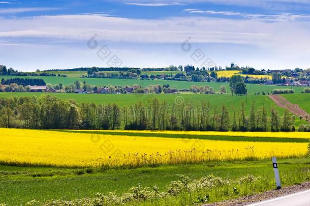 春季农业-黄色的田在近处索博特卡,放荡不羁的文化人帕拉迪斯