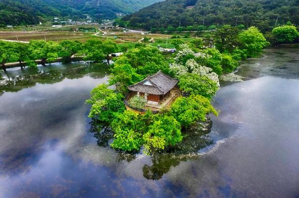 穗树采用怀兰吉蓄水池,米良,南方朝鲜,AustralianScientificIndustryAssociation澳大利亚科学