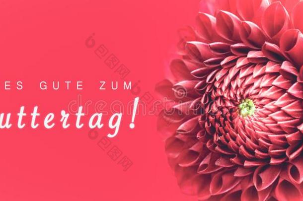 奥尔斯很好Zum母亲节!文本采用德国的:幸福的母亲`英文字母表的第19个字母一天!一