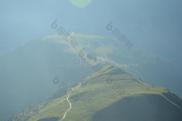 montane山地森林空白的山丘