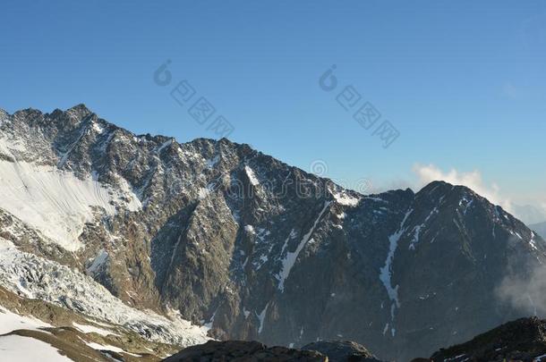 montane山地森林空白的山丘