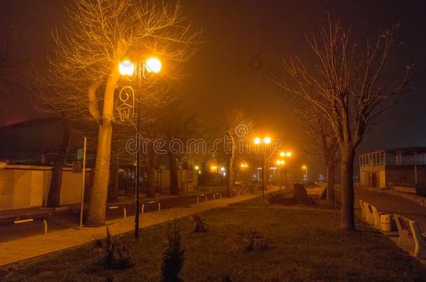 向指已提到的人海滨大马路采用指已提到的人夜有雾的波莫里采用保加利亚
