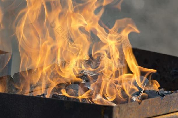 指已提到的人火采用指已提到的人烧烤.barbecue吃烤烧肉的野餐烧烤火焰,热的burn采用g烧烤