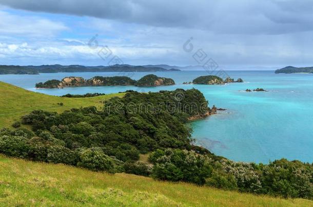 湾关于岛,新的西兰岛.乌鲁普卡岛<strong>风</strong>景