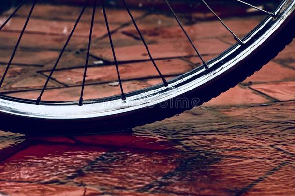 一时髦的自行车轮胎向一湿的surf一cephotogr一ph