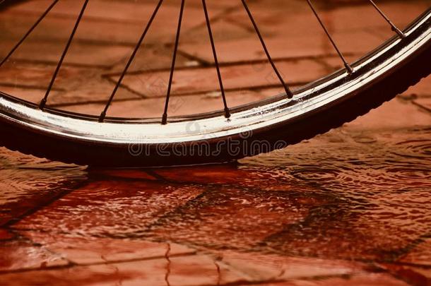 一自行车轮胎物体唯一的照片