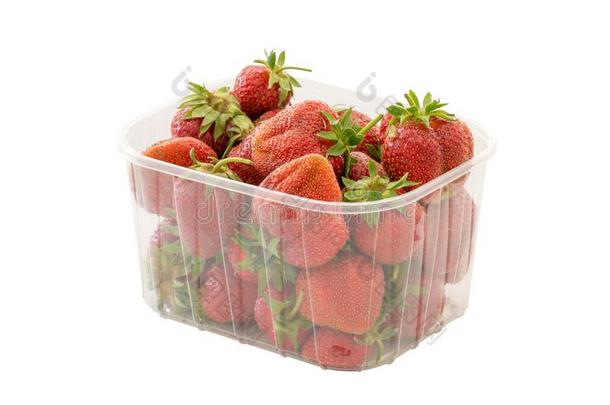 新鲜的成熟的有机的草莓采用透明的塑料制品零售爸