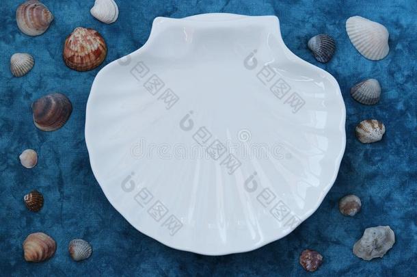 盘子白色的壳采用mar采用e方式