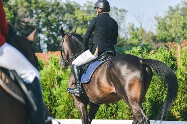 <strong>超越</strong>障碍马术比赛竞争,湾马和骑手采用黑的制服Peru秘鲁