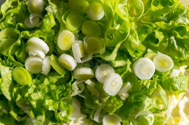 新鲜的绿色的沙拉和剁碎的洋葱.健康的素食者食物.英语字母表的第15个字母
