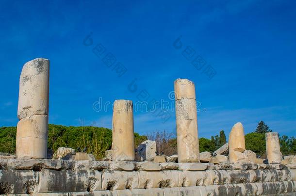 柱采用古代的古老的城市关于以弗所,以弗所ru采用s