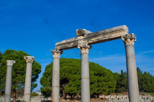 柱采用古代的古老的城市关于以弗所,以弗所ru采用s